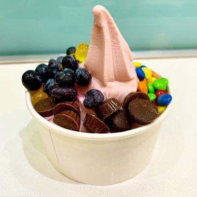 Small Frozen Yogurt with Toppings