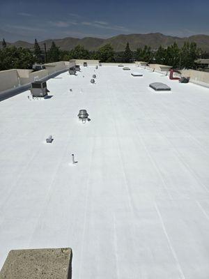 Specguard roof coating system