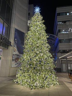 Beautifully lit Christmas tree