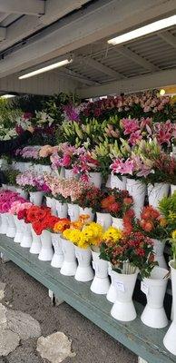 Great selection of flowers