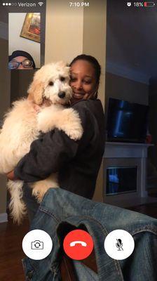 My sweet puppy boy after being bathed and groomed at Mom and Pups!