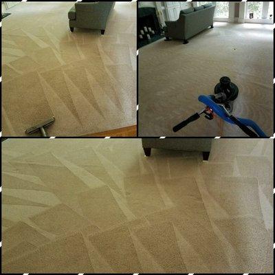 Mario cleaned this customers carpet.  They were astonished at the results!!