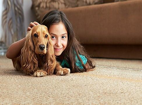 Pet Urine and Odor Removal San Diego, CA