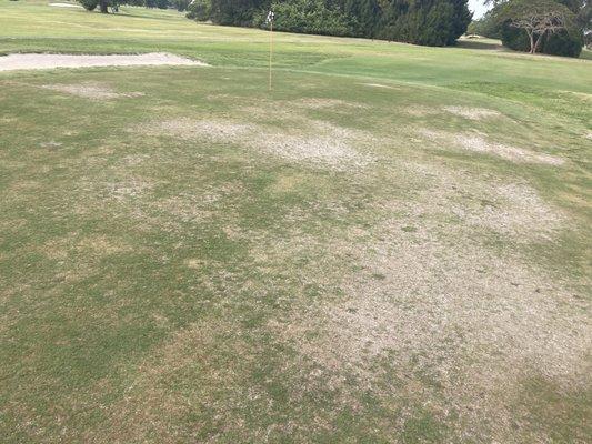 The green on the east course hole #16