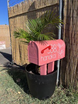 Look for our cute pink mailbox!