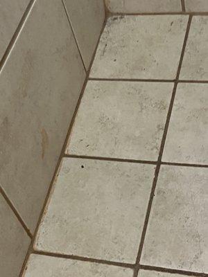 Here's a closer picture of what the shower floor looks like that our elders go into and they don't offer a shower shoes