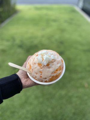 POG Shaved Ice w/ Handmade Mochi