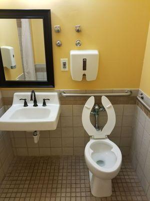 Sink and Toilet area