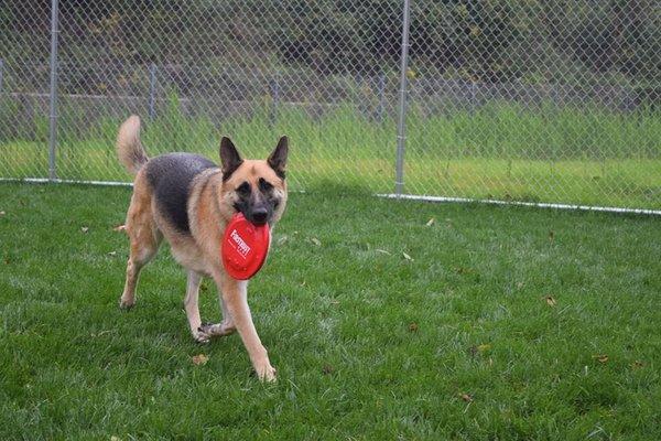 We love to play outside!