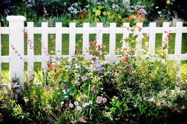 Beautiful garden planted along residential fence