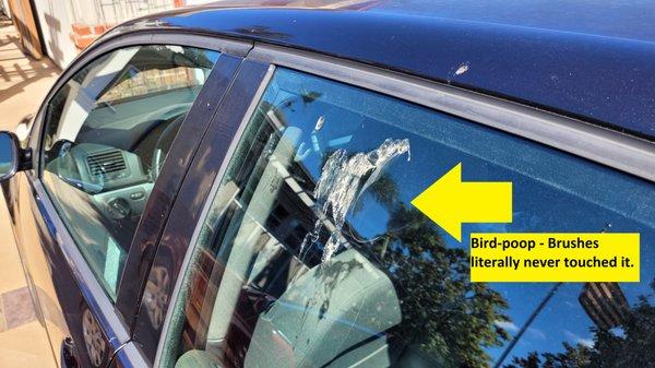 Bird-poop - Car wash brushes never touched it.