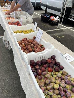 Yummy Stone Fruits