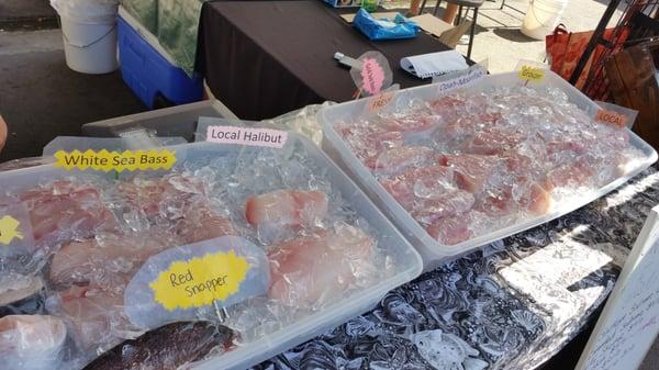 Today's fresh catch displayed at Little Italy market