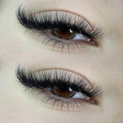 Camellia lash