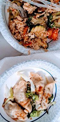 Fried vegetables rice and vegetables steamed Potstickers.  This is a  portion  of the items.