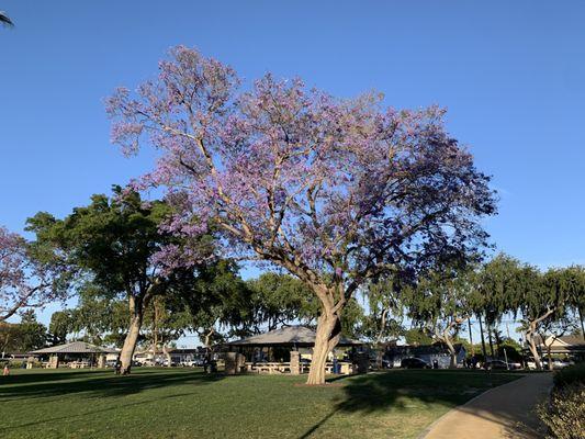 Nice spring afternoon at Furman Park