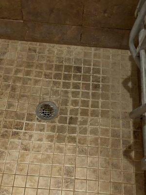 Dirty showers that are never cleaned with hair in drains