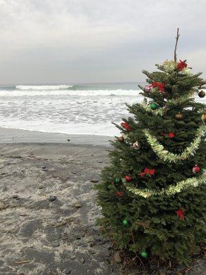 Seaside reef 12/21/18