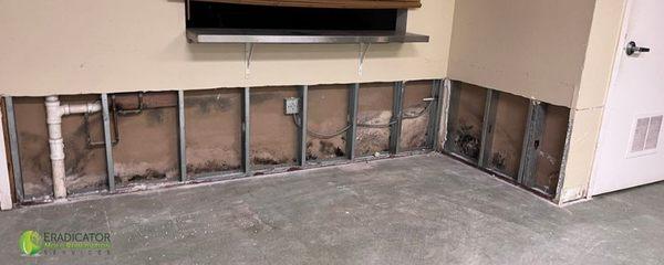 Commercial Mold removal