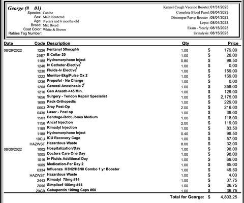 Surgery costs as a result of injury sustained at Glendale Pet Resort.