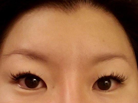 Lashes for the Asian eyes