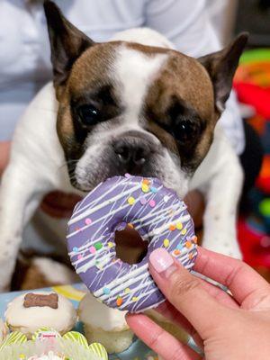 Woof Gang Bakery & Grooming Glen Rock