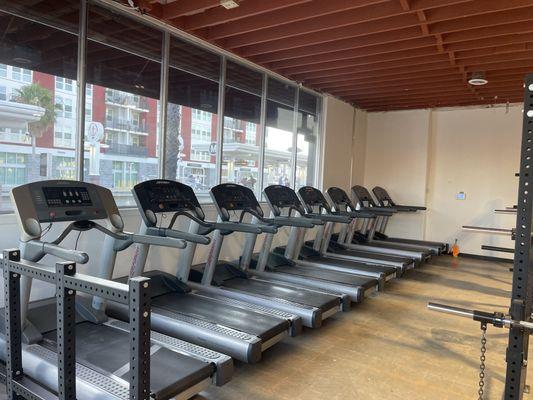 Treadmills Cardio Area