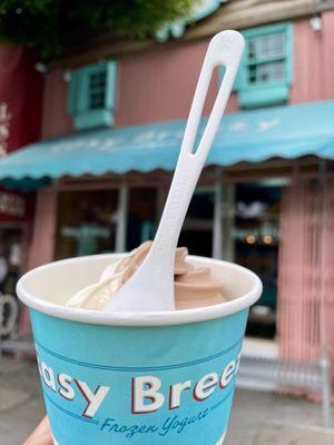 Easy Breezy Frozen Yogurt