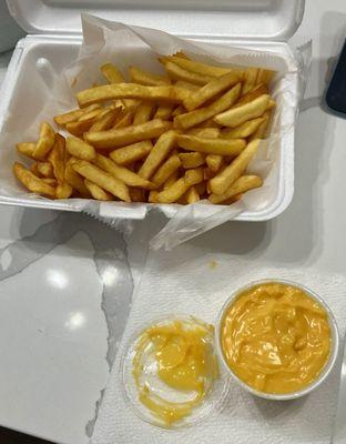 Cheese Fries with cheese on side