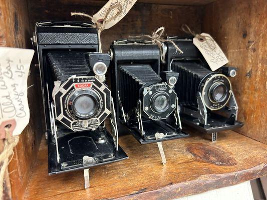 Vintage cameras