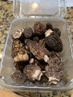 Fresh morels