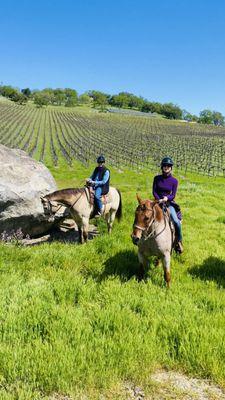 Napa Valley Trail Rides