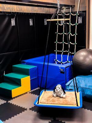 Occupational Therapy Gym - One on One sessions