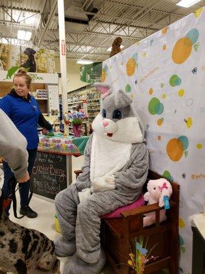 Free pics with Easter Bunny