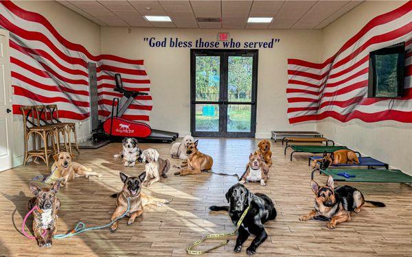 Veteran Service Dog Training Program