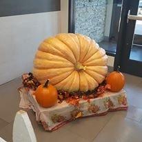 The Great Pumpkin has arrived! Can you guess it's weight?