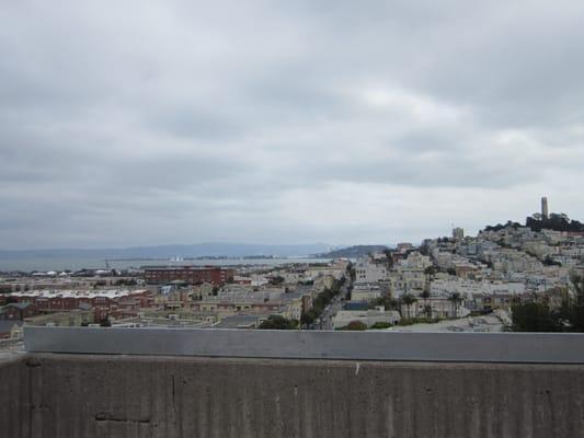 View from SFAI Cafe