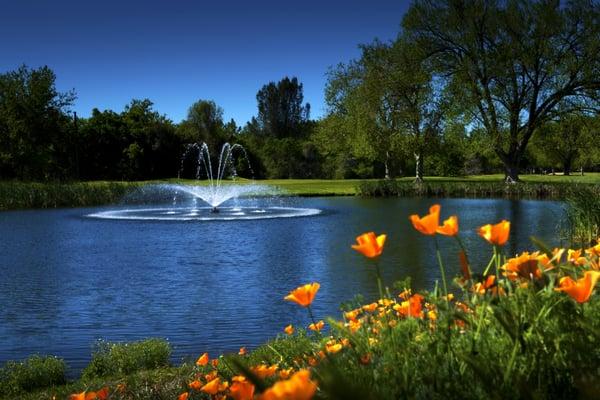 Bidwell Park Golf Course