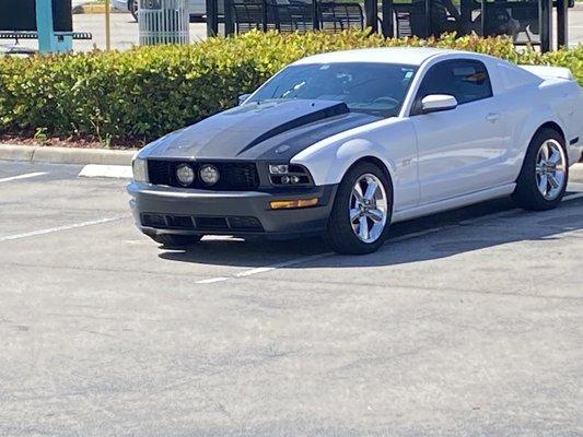 Customer'sCar 2006 GT 4.6 3v  3" Cowl CarbonFibre Hood "AmeriHood"