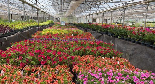 Bardy Farms & Greenhouses