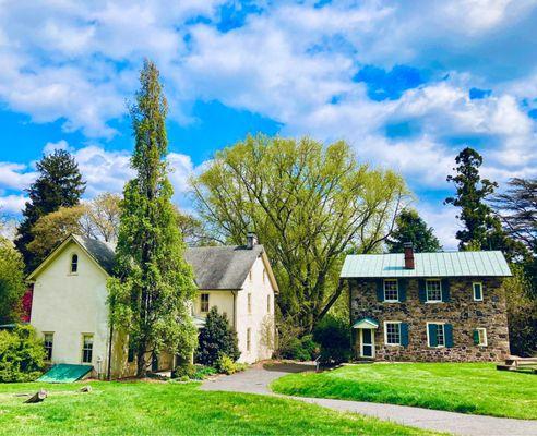 Tyler Arboretum