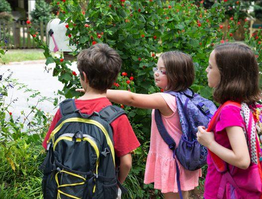 We take a lot of walking field trips and learn about nature along the way!