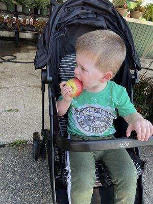 My grandson enjoying an apple!