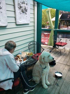 My doggy enjoying the porch