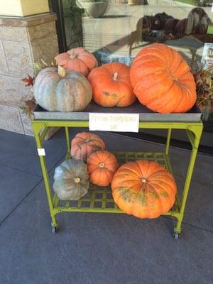 Great prices on pumpkins