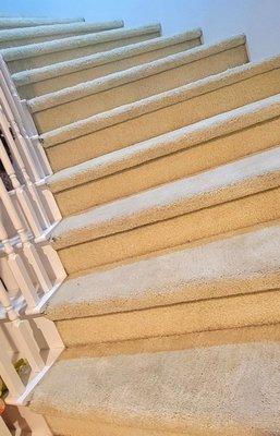 Carpet Tech Cleaning Specialists