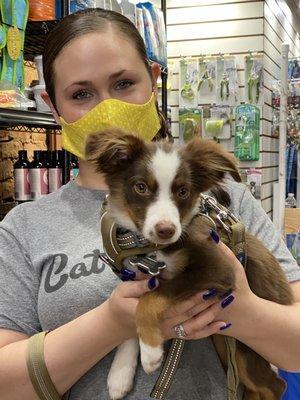 Tennessee Tails Pet Boutique