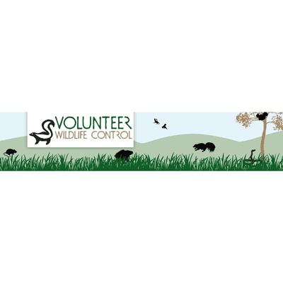 Volunteer Wildlife Control