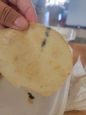 This was just one of the tortillas with mold.