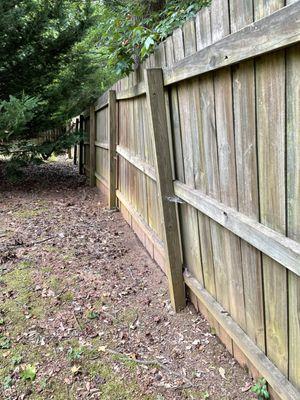 Backyard fence posts